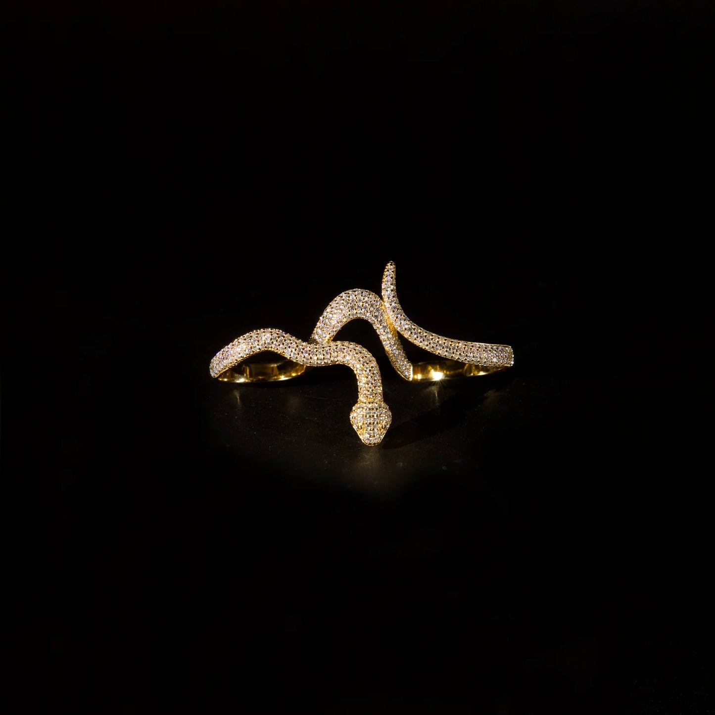 Snake Ring (Gold)