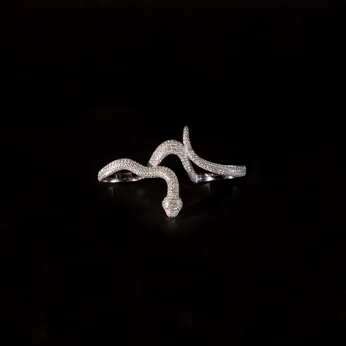 Snake Ring (Silver)