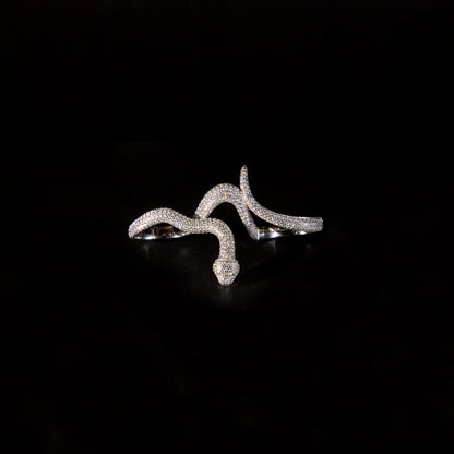 Snake Ring (Silver)